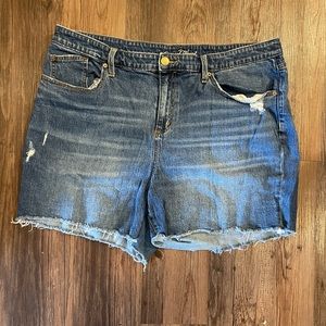 Universal Thread Denim Shorts